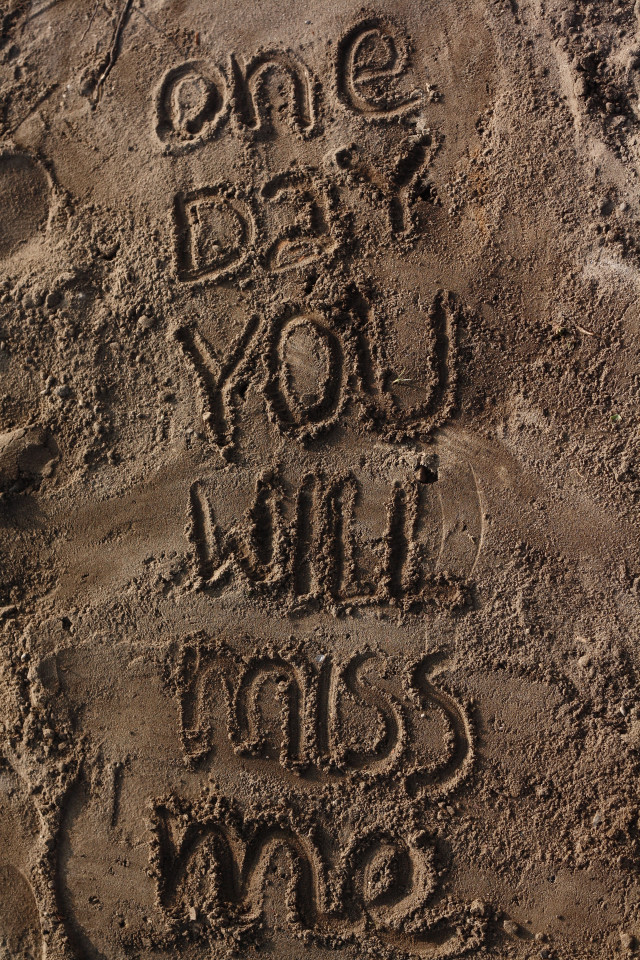 Sand message dog cat one free wallpaper for mobile - medium preview image