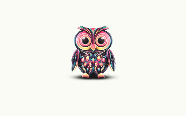 Colorful owl white surface white free wallpaper for desktop - medium preview image