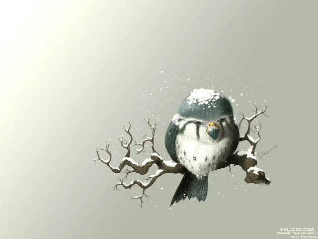 Bird glasses branch snow snowflakes #2 free wallpaper for desktop - medium preview image