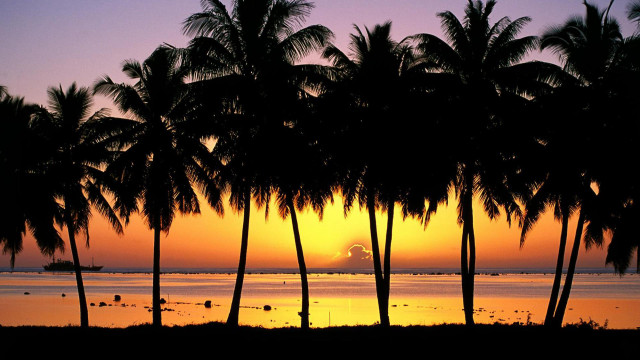 Sunset palm trees boat purple #2 free wallpaper for desktop - medium preview image