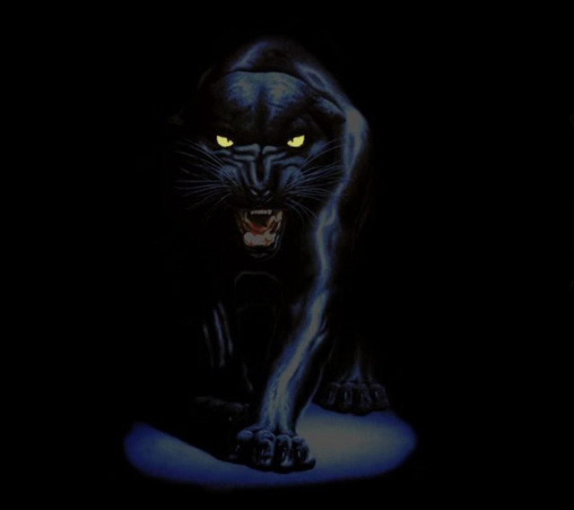 Black cat glowing eyes blue free wallpaper for tablet - medium preview image