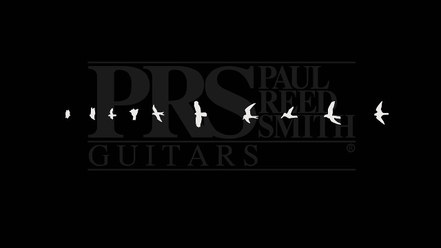 Paul reed smith guitar birds free wallpaper for desktop - medium preview image