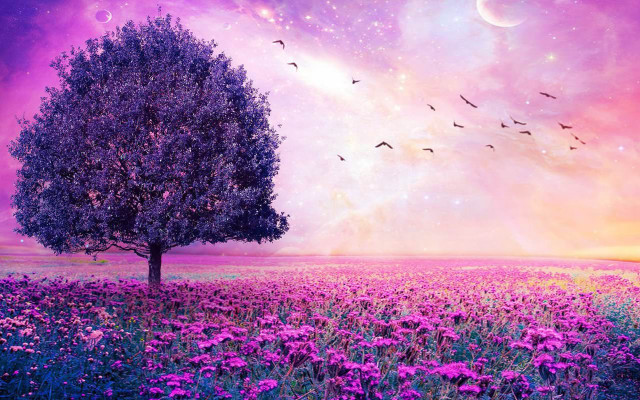 Tree field flowers purple sky free wallpaper for desktop - medium preview image