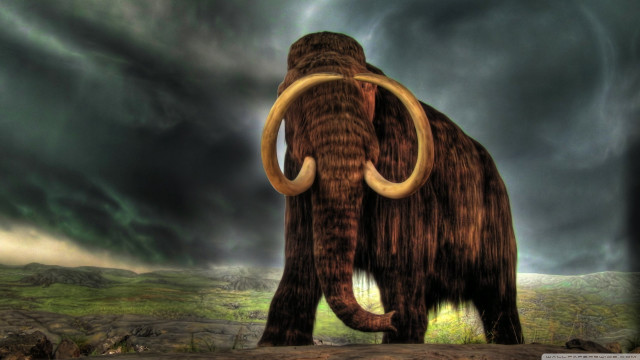 Mammoth field cloudy sky storm free wallpaper for desktop - medium preview image
