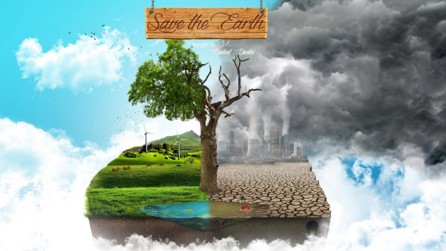 Tree save the earth sign free wallpaper for desktop - medium preview image