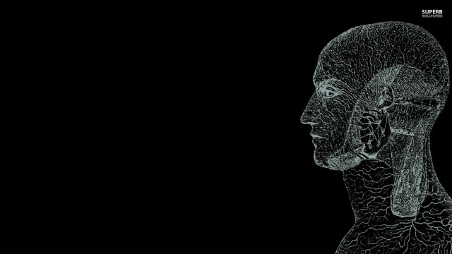 Black white brainmap human head free wallpaper for desktop - medium preview image