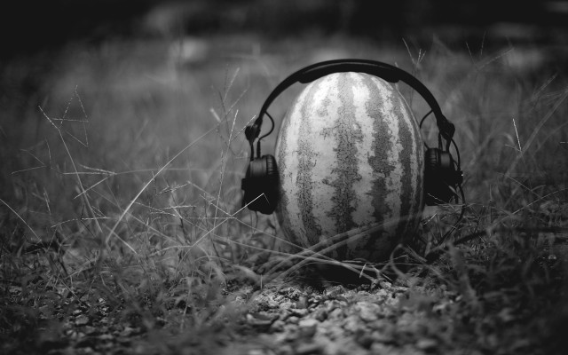 Watermelon headphones grass black white free wallpaper for desktop - medium preview image