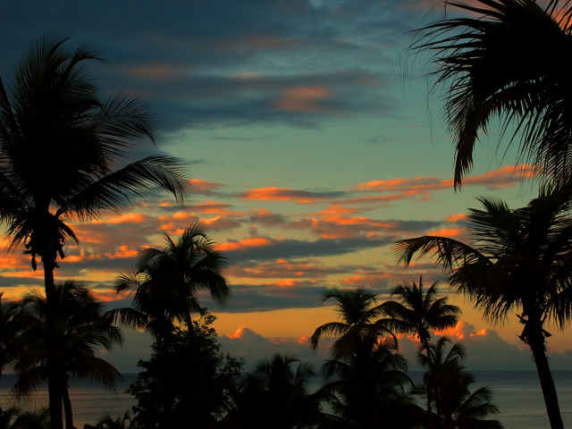 Sunset palm trees ocean clouds #2 free wallpaper for desktop - medium preview image