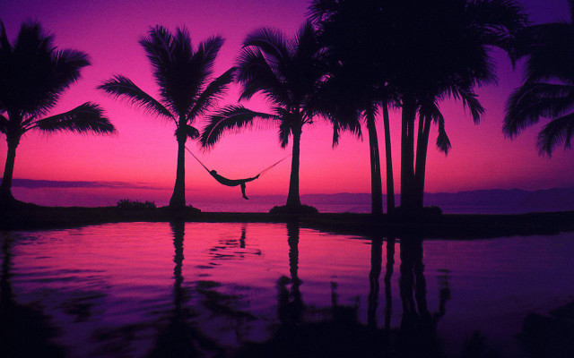 Hammock palm trees sunset purple free wallpaper for desktop - medium preview image