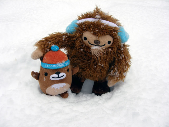 Stuffed animal stuffed animal snow free wallpaper for desktop - medium preview image