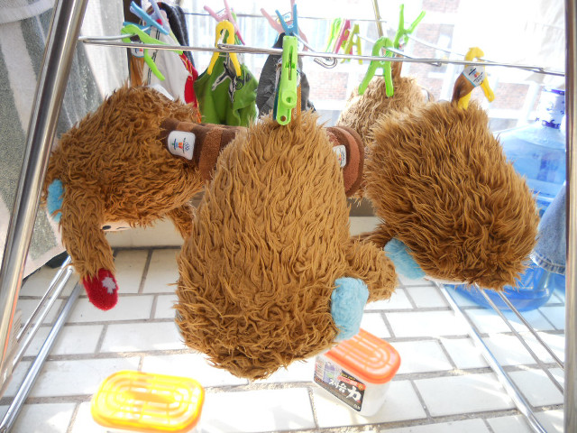 Stuffed animal clothesline toothbrushes stilllife free wallpaper for desktop - medium preview image