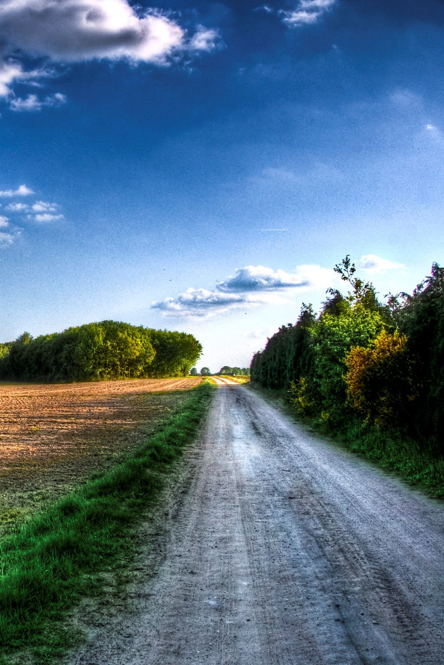 Dirt road field trees blue free wallpaper for mobile - medium preview image
