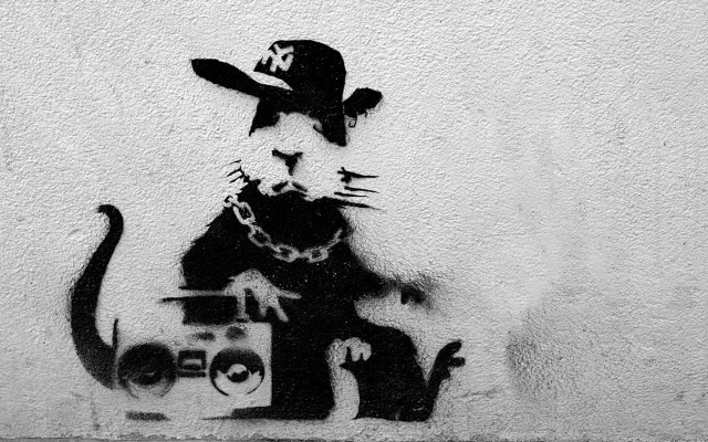 Cat dog wall boombox camera free wallpaper for desktop - medium preview image