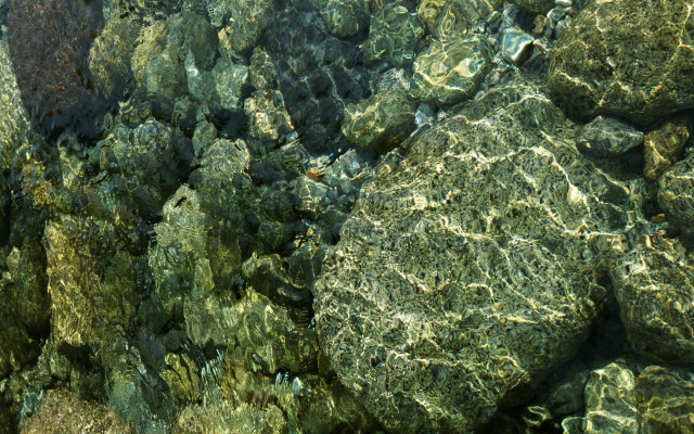 Rocks water fish background blue free wallpaper for desktop - medium preview image