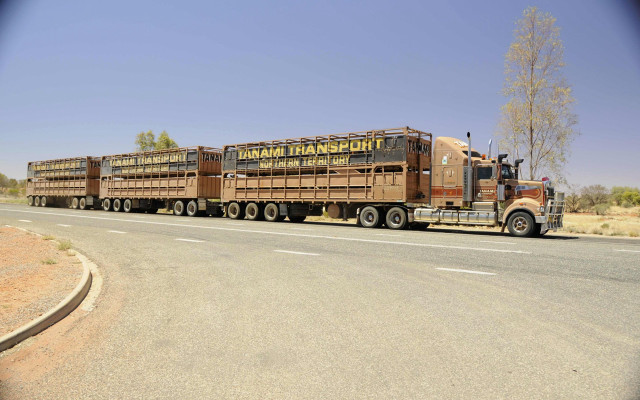 Truck trailer cattle desert road free wallpaper for desktop - medium preview image