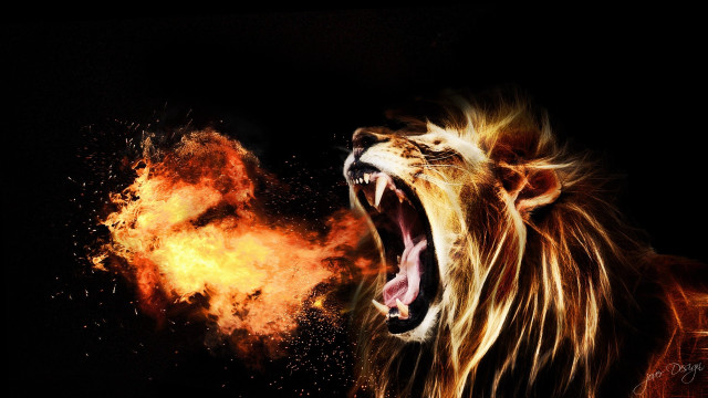 Lion roaring fire mouth wide free wallpaper for desktop - medium preview image