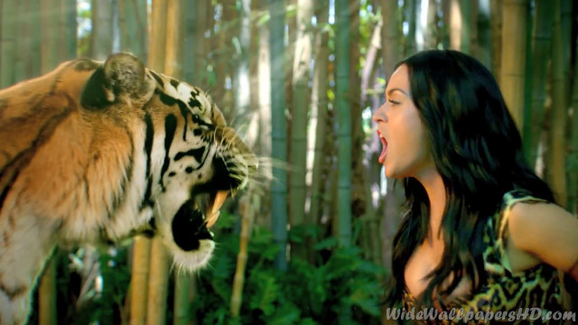 Woman tiger forest mouth open free wallpaper for desktop - medium preview image
