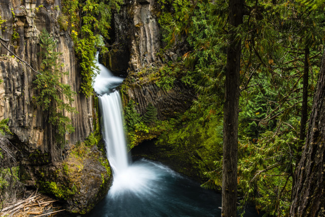 Waterfall forest trees surrounding stream free wallpaper for desktop - medium preview image