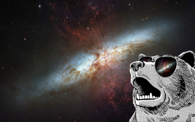 Bear sunglasses galaxy sky head free wallpaper for desktop - medium preview image