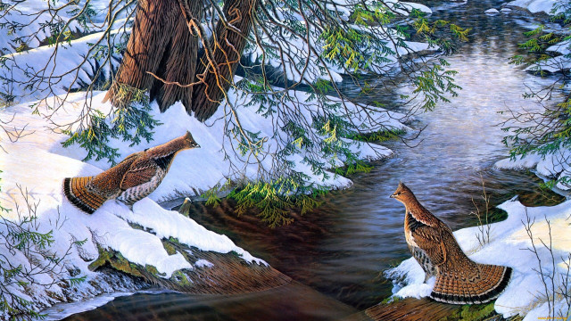 Birds snowy bank stream woods free wallpaper for desktop - medium preview image