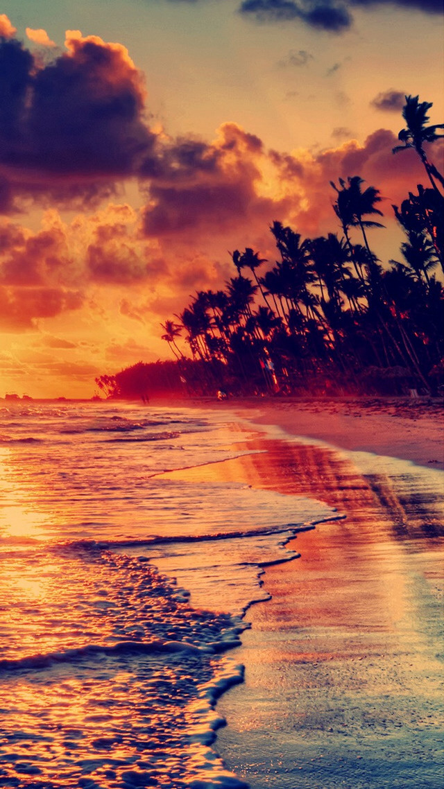 Beach sunset palm trees surfboard free wallpaper for mobile - medium preview image