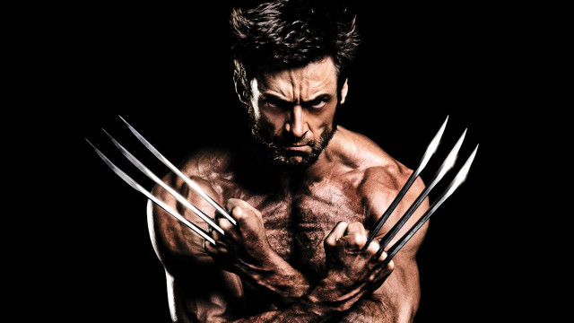 Bearded man claws wolverine staff free wallpaper for desktop - medium preview image