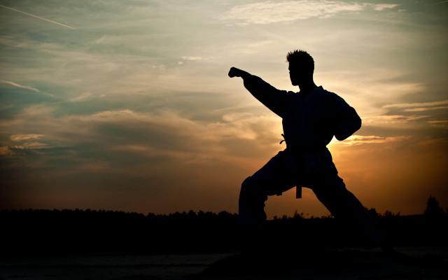 Karate man sunset arms out free wallpaper for desktop - medium preview image