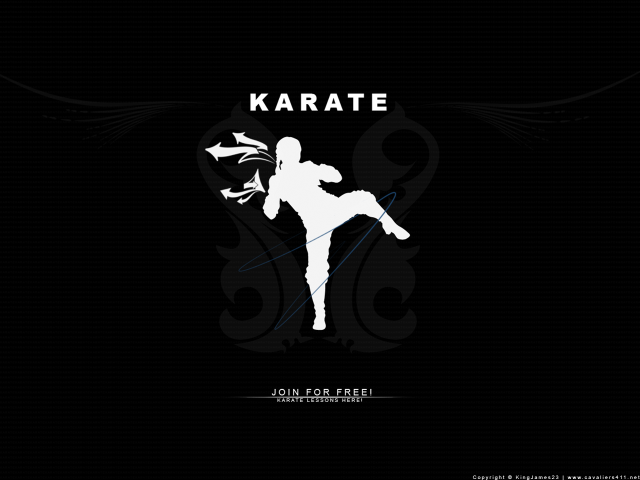 Black white karate poster kicking free wallpaper for desktop - medium preview image