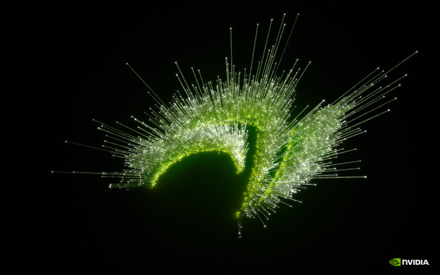 Green plant white spiky stems free wallpaper for desktop - medium preview image