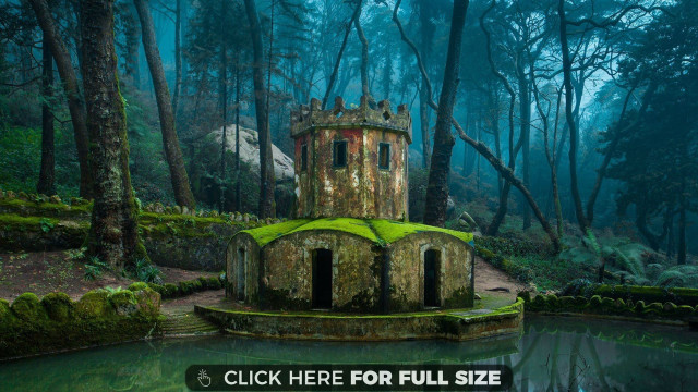 Castle forest pond green roof free wallpaper for desktop - medium preview image