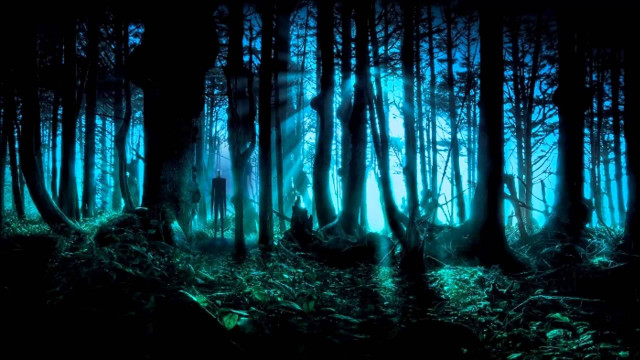 Forest trees light shining through free wallpaper for desktop - medium preview image