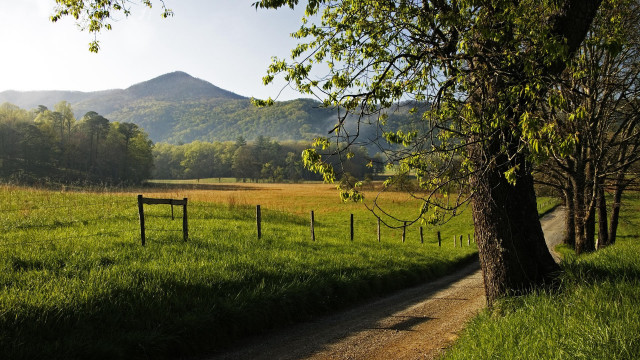Dirt road grassy field fence free wallpaper for desktop - medium preview image