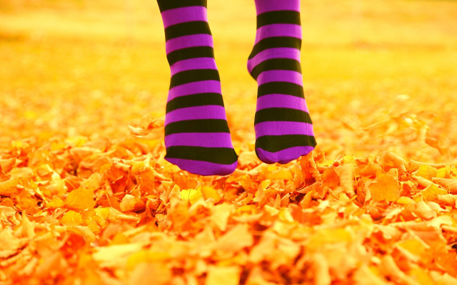 Person purple black striped socks free wallpaper for desktop - medium preview image