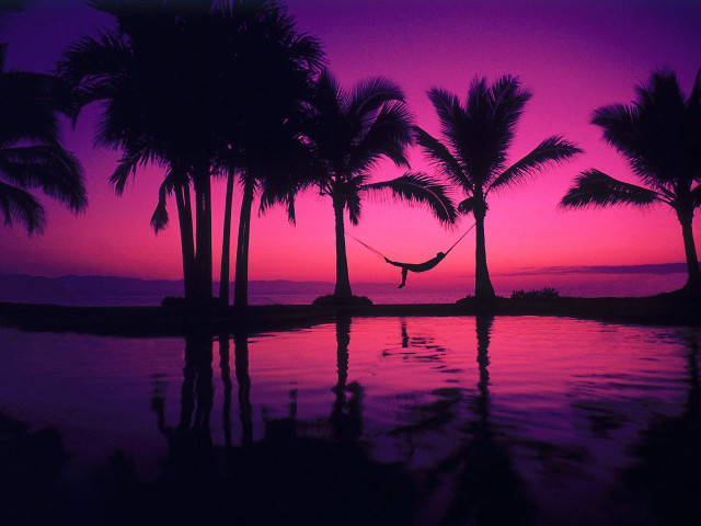Hammock palm trees sunset purple #2 free wallpaper for desktop - medium preview image