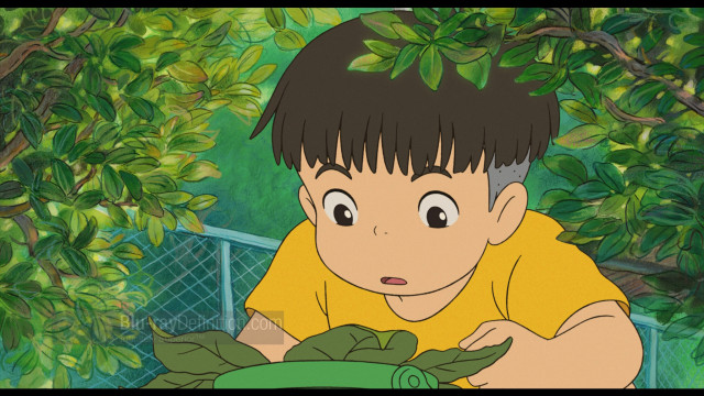 Boy looking green plant cartoon free wallpaper for desktop - medium preview image
