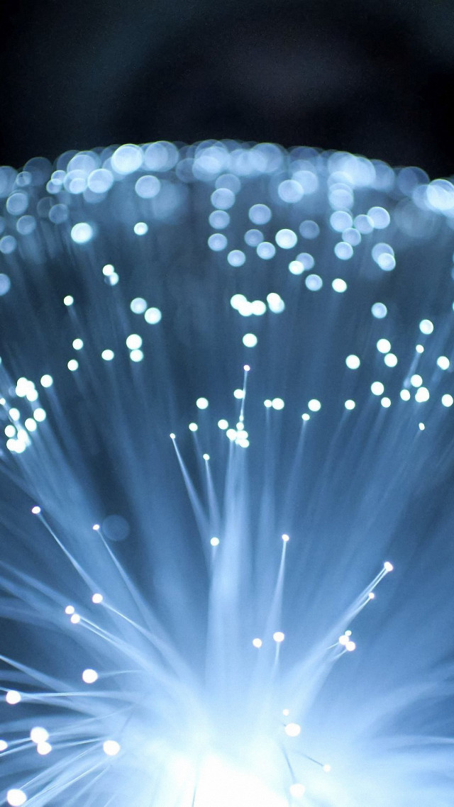 Blue flower white lights black free wallpaper for mobile - medium preview image