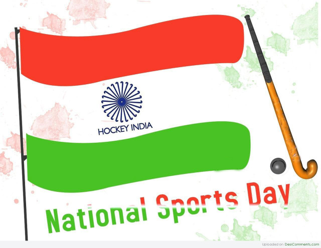 National sports day poster flag free wallpaper for desktop - medium preview image