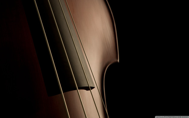 Violin strings closeup dark background free wallpaper for desktop - medium preview image