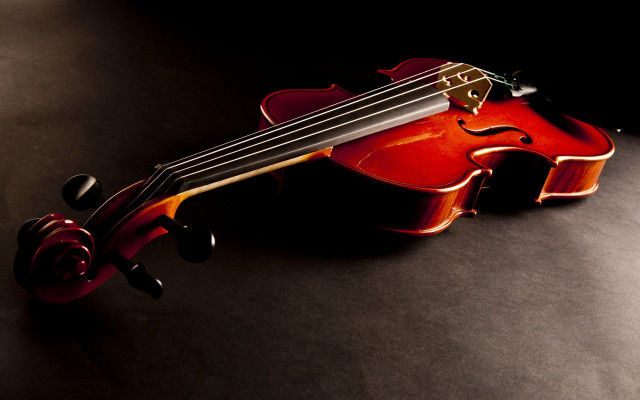 Violin rose black surface cinematic free wallpaper for desktop - medium preview image