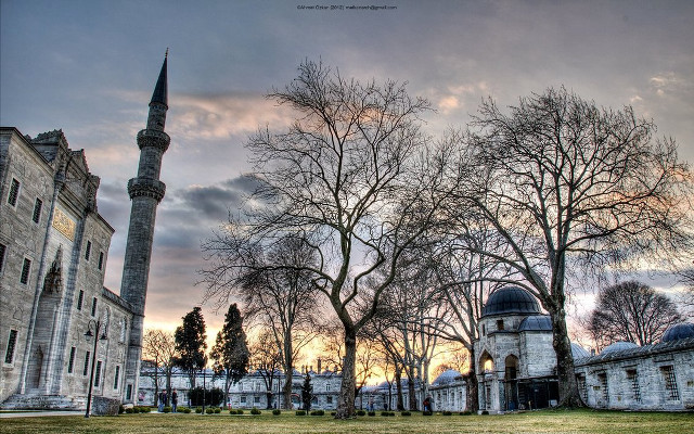 Large building tower tree grassy #2 free wallpaper for desktop - medium preview image