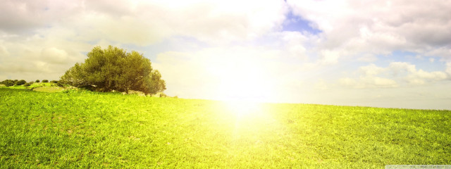 Field tree sky clouds sunbeam #4 free wallpaper for desktop - medium preview image