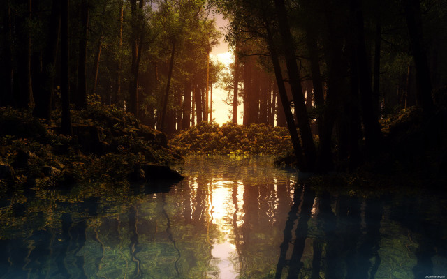 Lake trees forest sun reflection free wallpaper for desktop - medium preview image