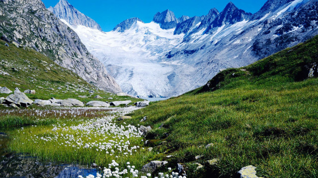 Mountain range stream flower field free wallpaper for desktop - medium preview image