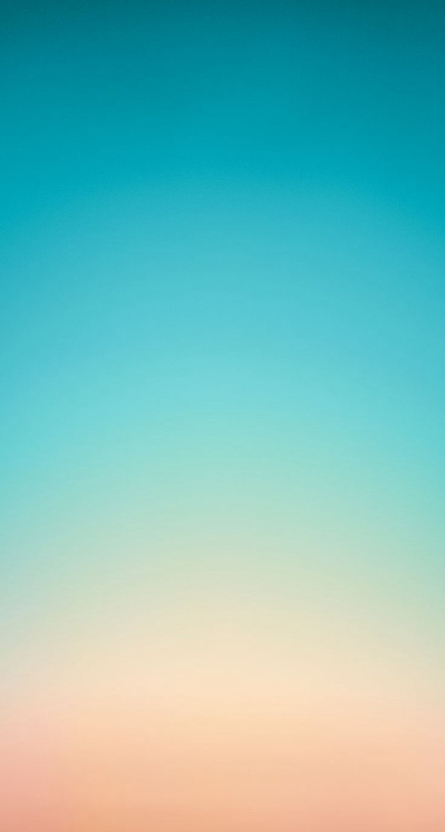 Sheep grass field forest trees free wallpaper for mobile - medium preview image