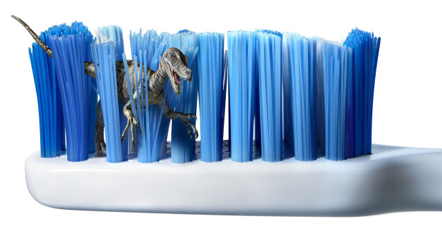 Toothbrush holder dinosaur blue toothbrushes free wallpaper for desktop - medium preview image