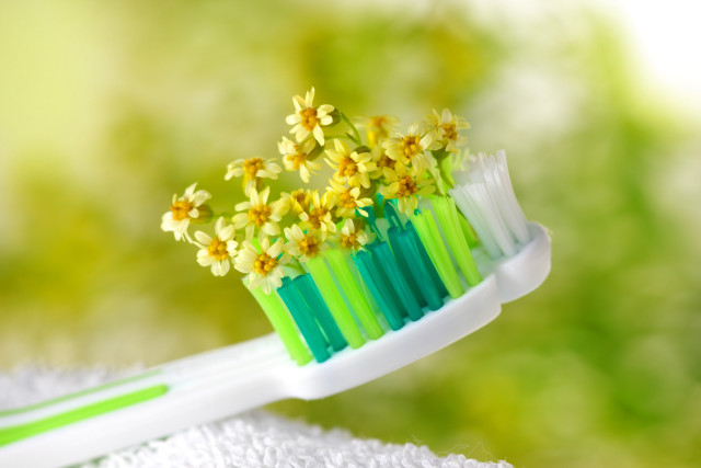 Toothbrush yellow flowers towel green free wallpaper for desktop - medium preview image