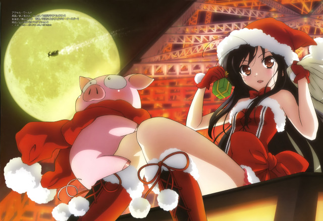 Woman santa hat stockings holding free wallpaper for desktop - medium preview image