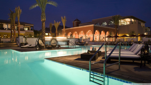 Pool lounge chairs palm tree free wallpaper for desktop - medium preview image