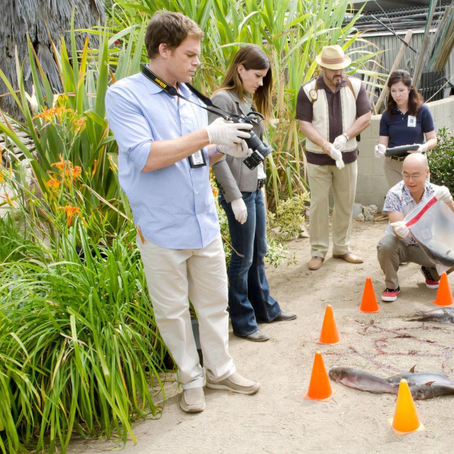 Group people pond orange cones free wallpaper for tablet - medium preview image