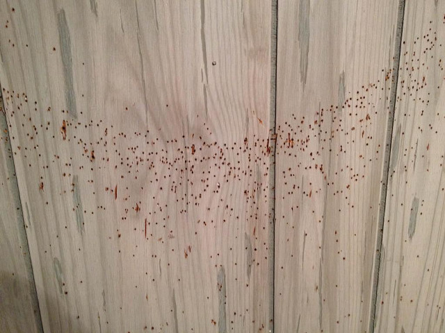 Bathroom toilet wooden redpaint blackseat free wallpaper for desktop - medium preview image